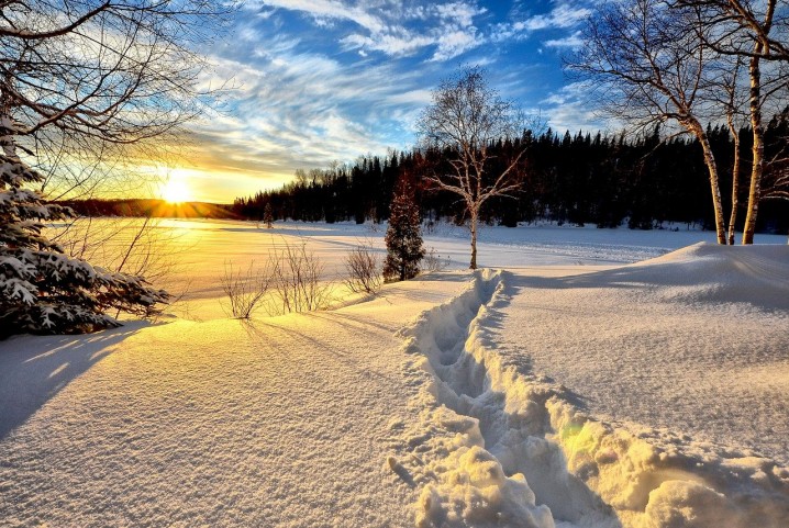 winter-landscape-636634_1280