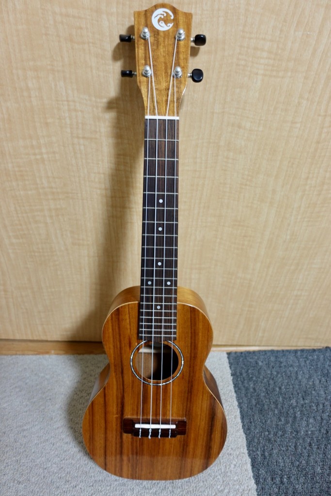 cotone-ukulele2