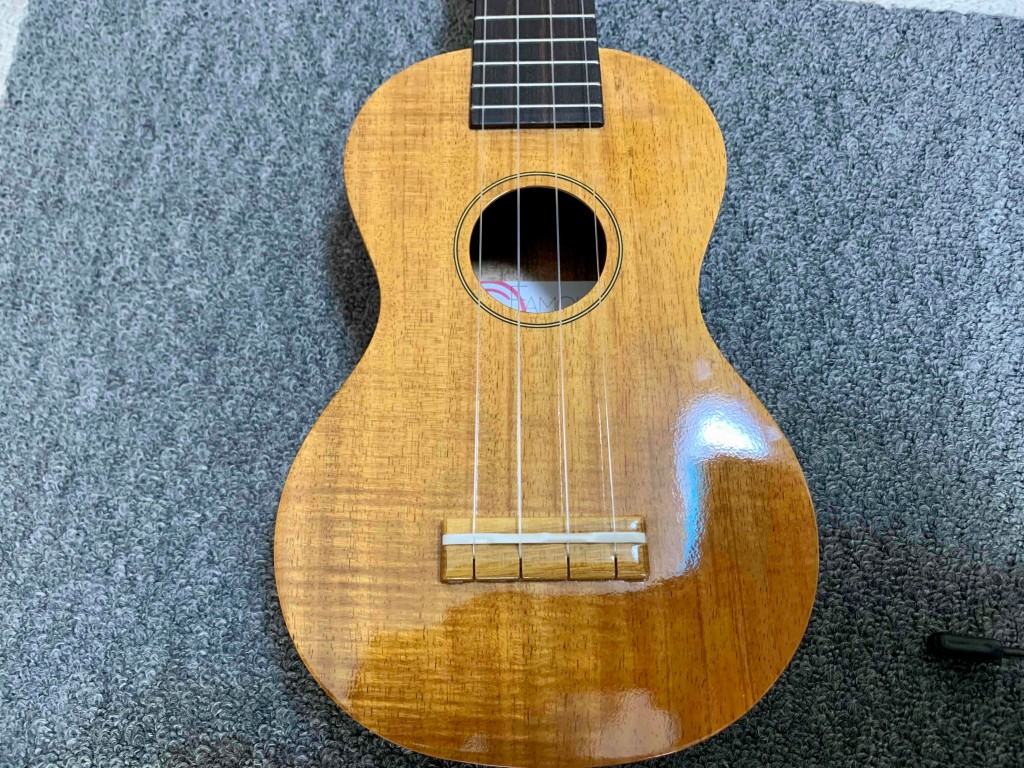 famous-ukulele3